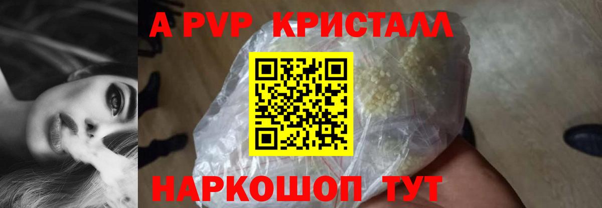 Кингисепп  Альфа ПВП СК КРИС  APVP Crystall  Вход с VPN 