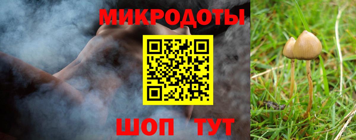 Кингисепп  Галлюциногенные грибы мухоморы  Вход с VPN 